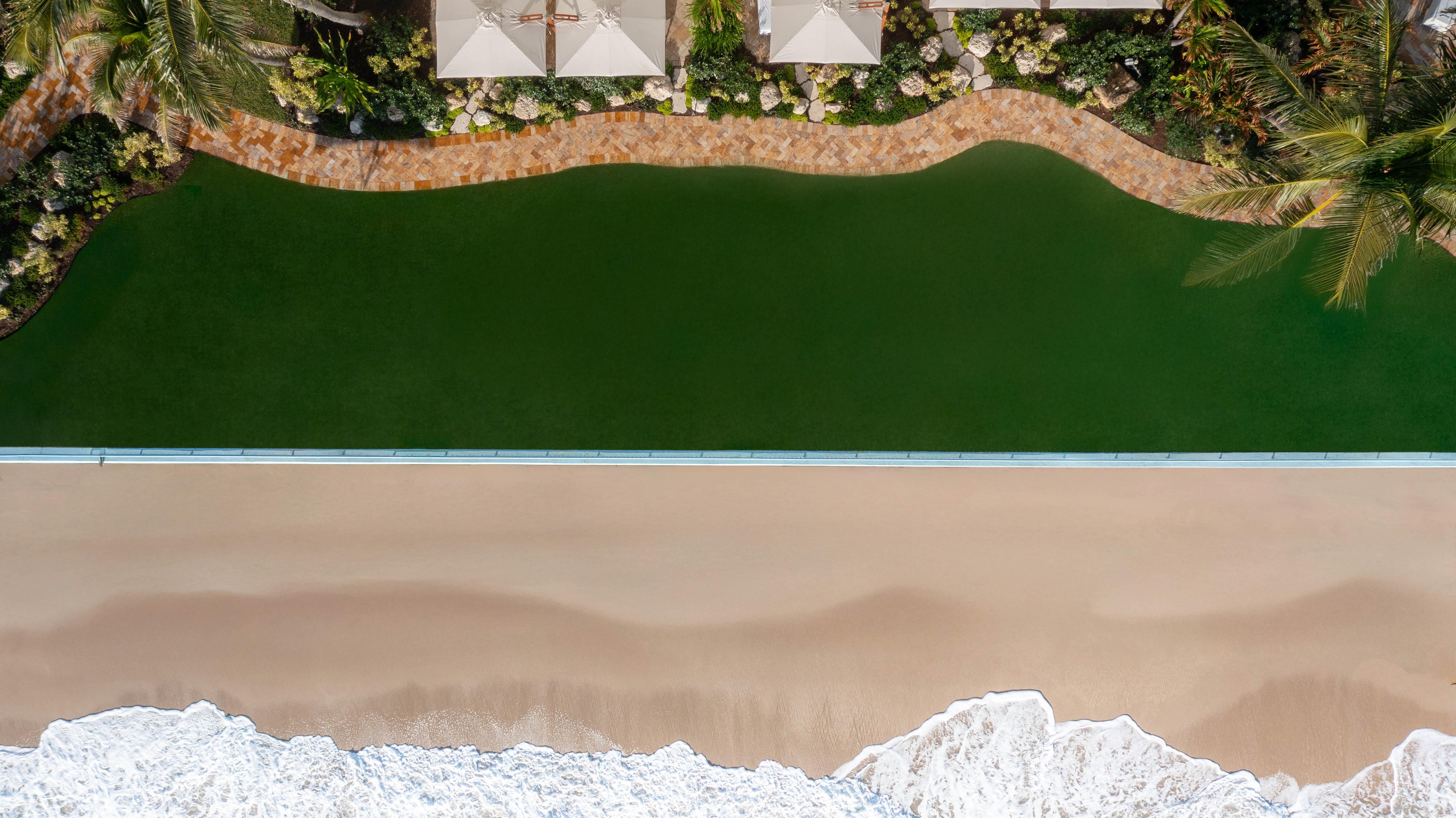 South Oceanfront Lawn | Eau Resort & Spa