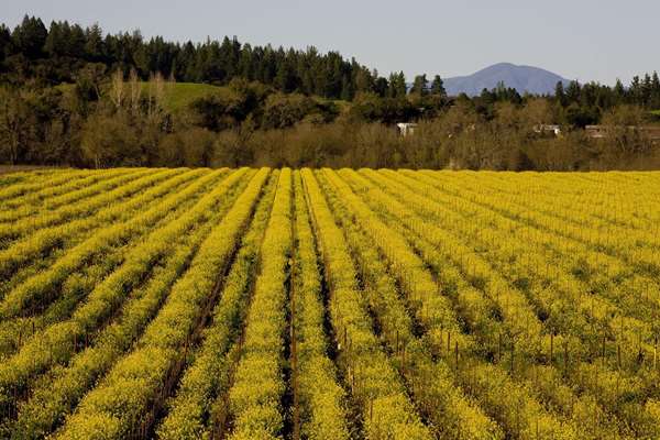 Exterior view - Farmhouse Inn & Restaurant Forestville