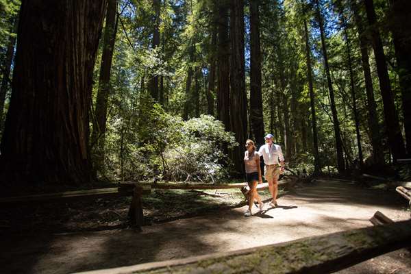 Exterior view - Farmhouse Inn & Restaurant Forestville