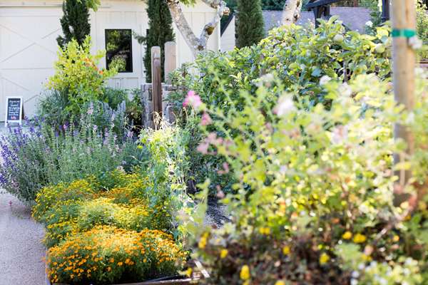 Exterior view - Farmhouse Inn & Restaurant Forestville