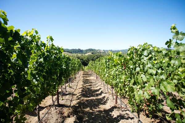 Exterior view - Farmhouse Inn & Restaurant Forestville