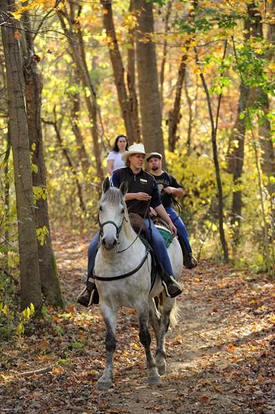 Exterior view - French Lick Springs Resort