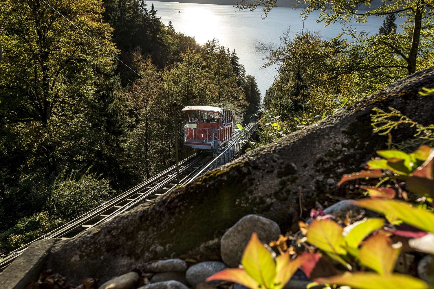 GRANDHOTEL GIESSBACH - Photo 25