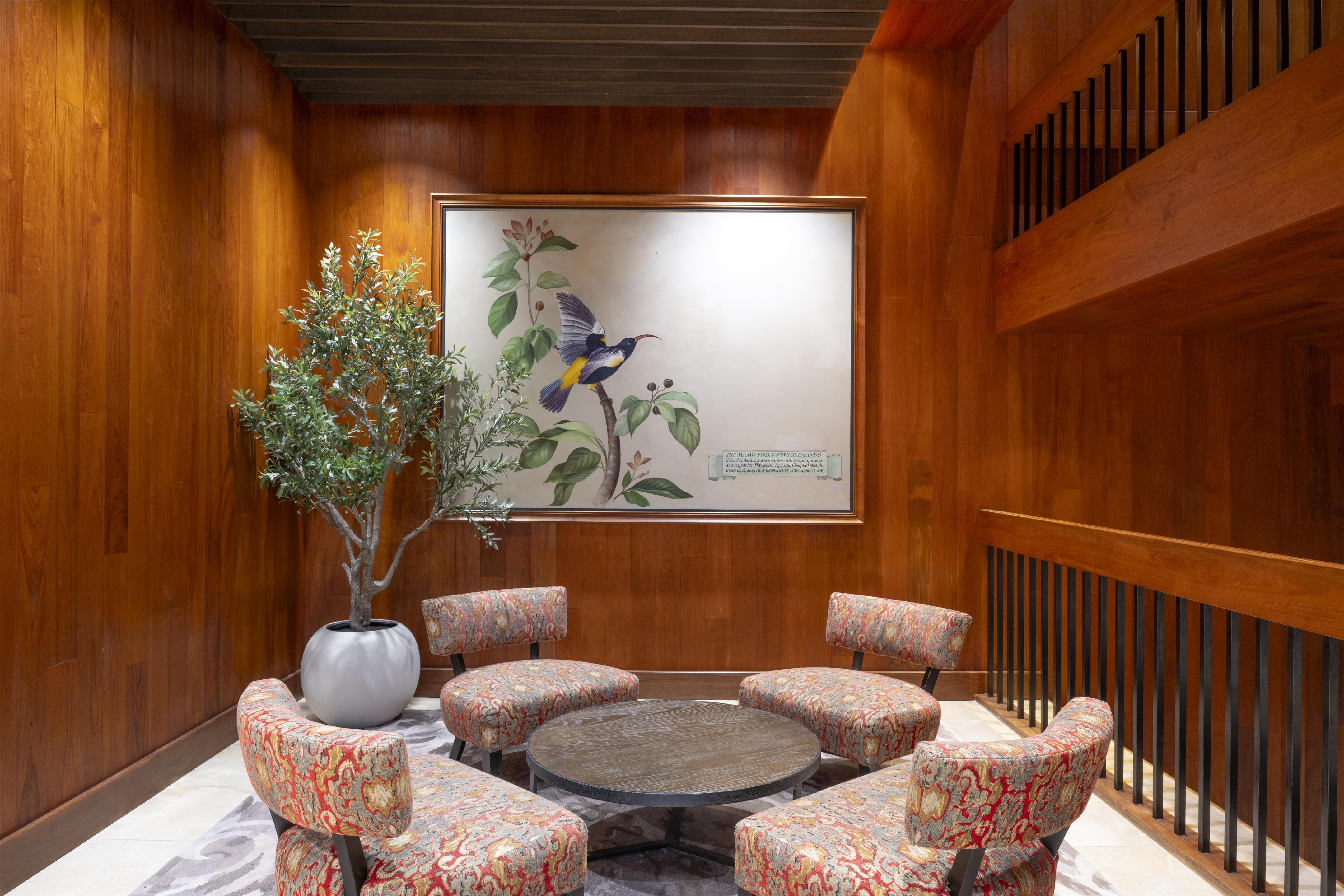 MVC Hotel Captain Cook Seating Area Botanical Art Photo Michelle Chaplow | Hotel Captain Cook
