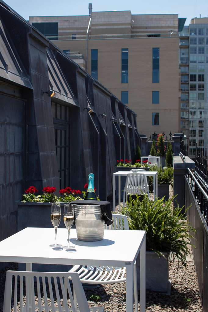 Guest photo