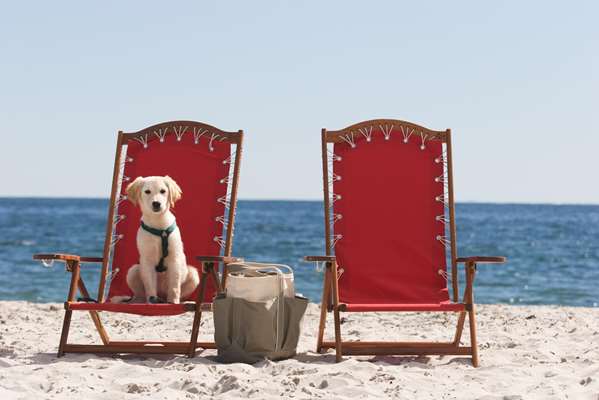  - Inn by the Sea Cape Elizabeth