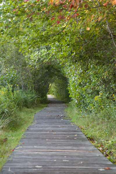 Exterior view - Inn by the Sea Cape Elizabeth