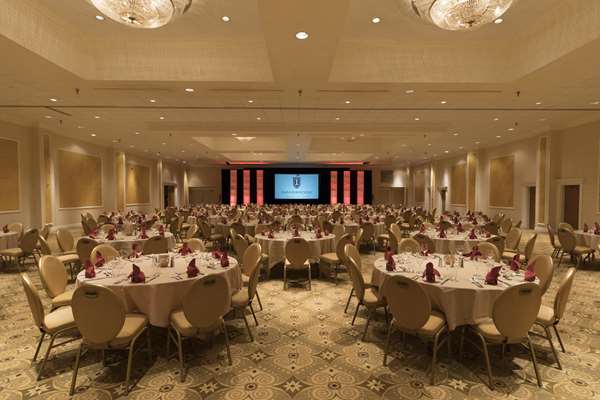 Restaurant - Innisbrook Resort Palm Harbor