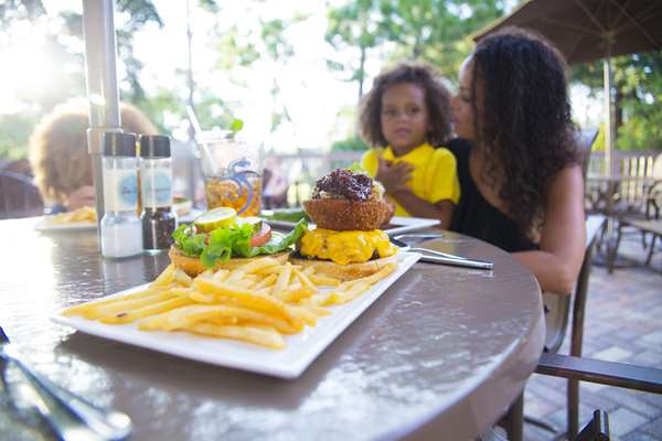 Restaurant - Innisbrook Resort Palm Harbor