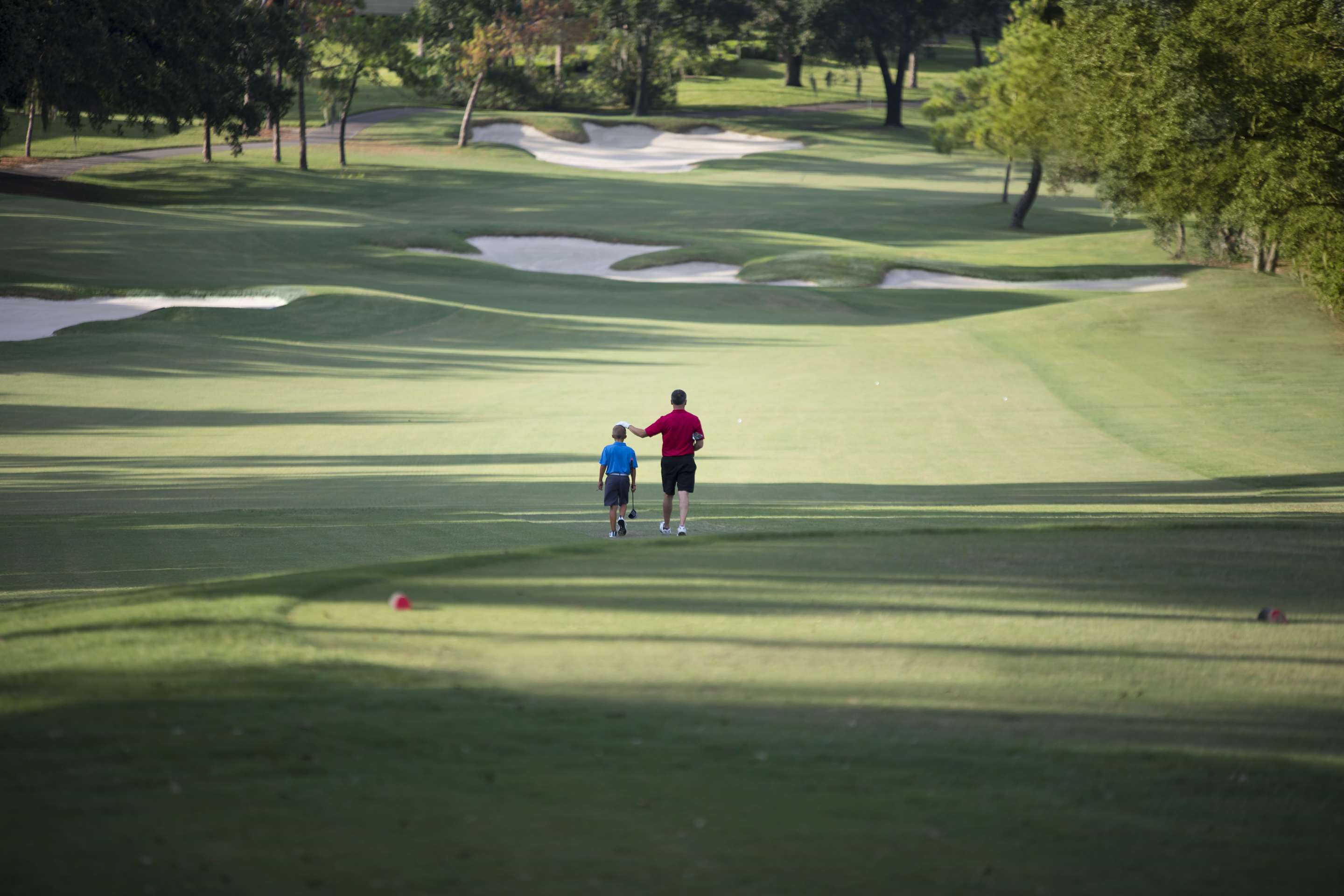 Golf course | Innisbrook Resort