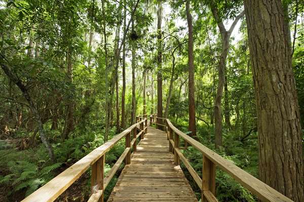 Exterior view - Innisbrook Resort Palm Harbor