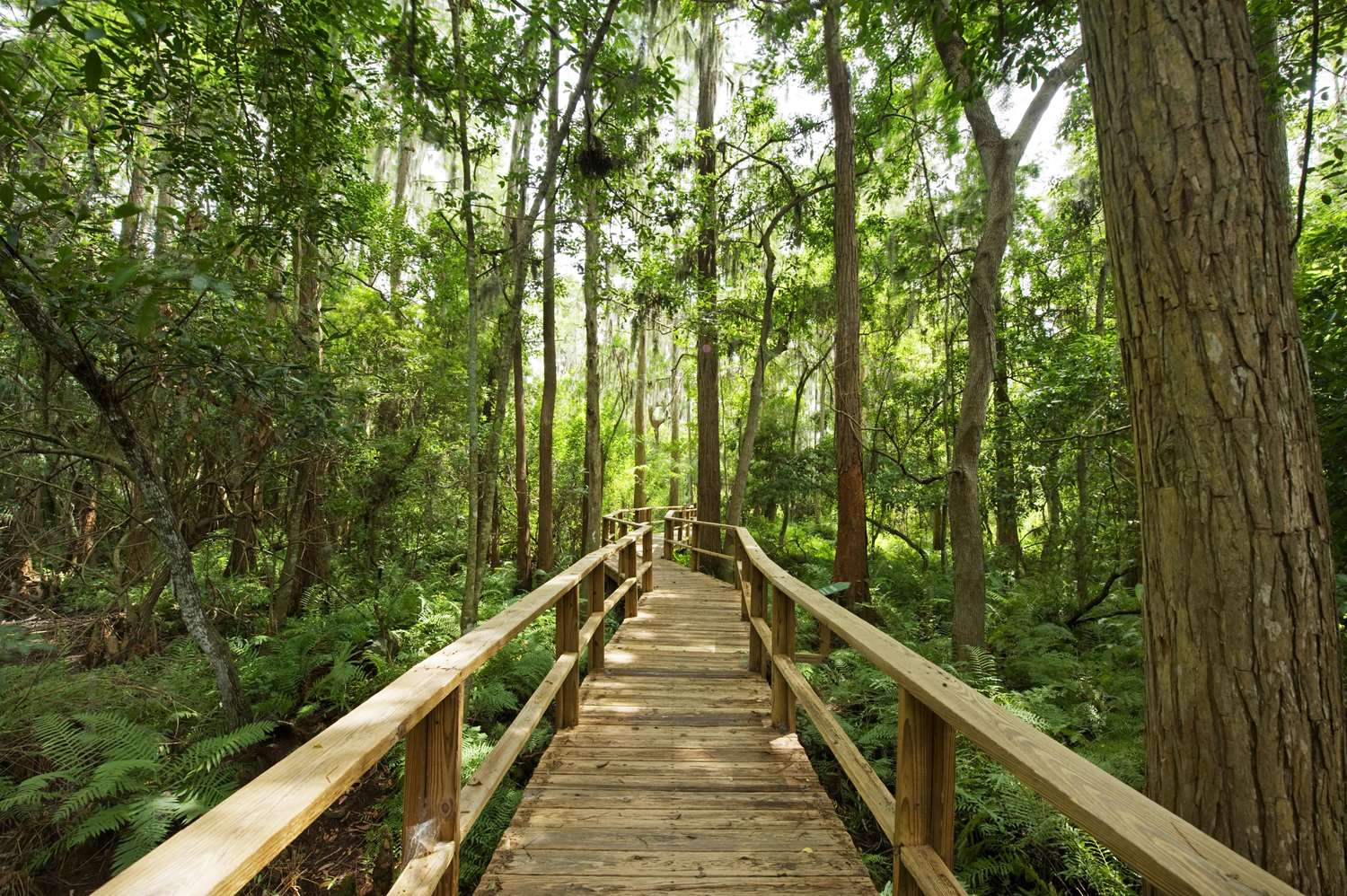 Innisbrook Resort Palm Harbor, FL See Discounts