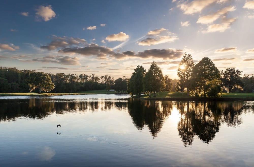 Golf course | Innisbrook Resort