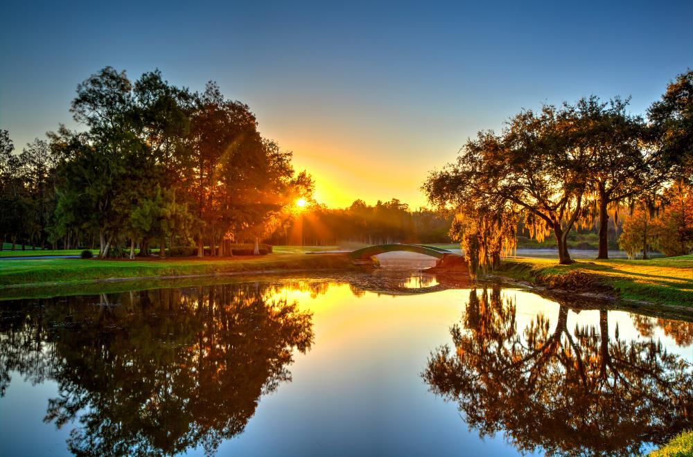 Golf course | Innisbrook Resort