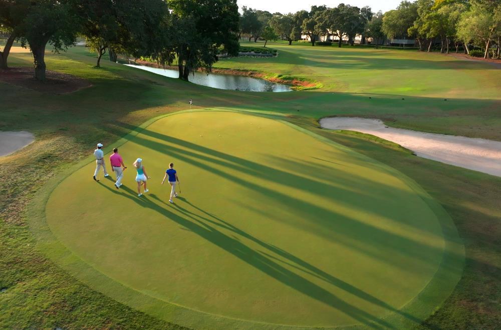 Golf course | Innisbrook Resort