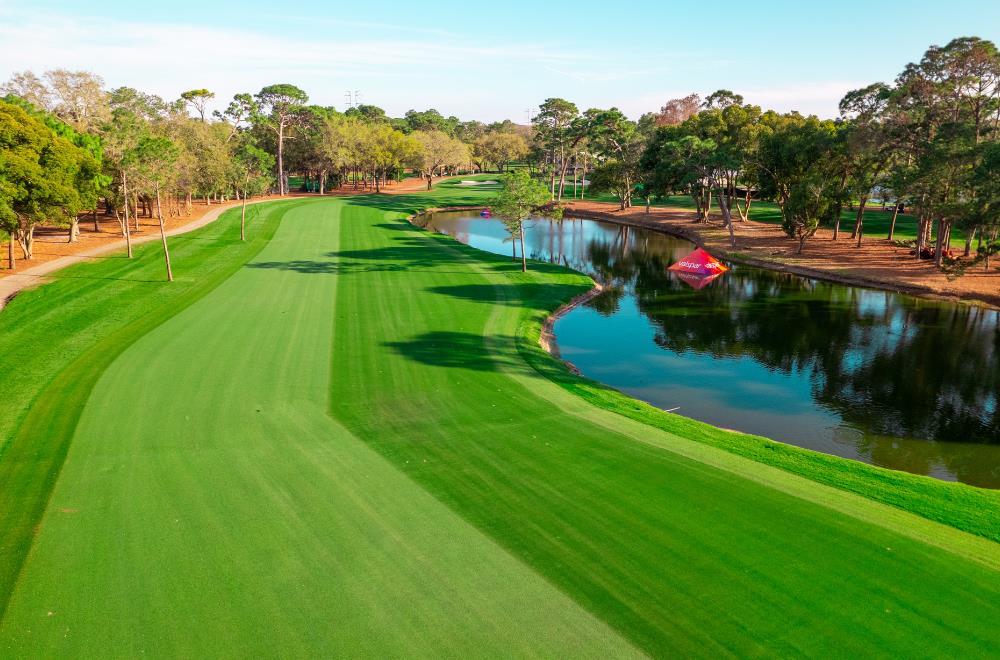 Golf course | Innisbrook Resort