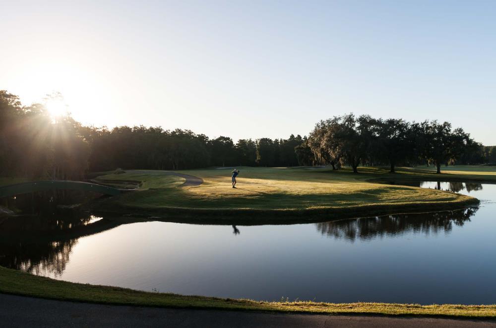Golf course | Innisbrook Resort