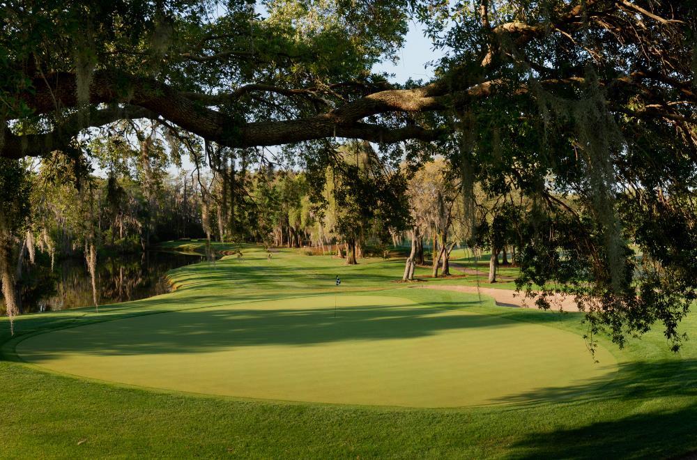 Golf course | Innisbrook Resort