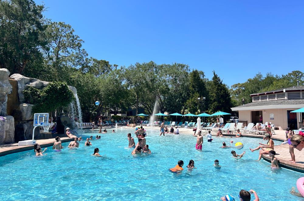 Pool view | Innisbrook Resort