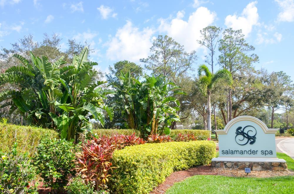 Spa | Innisbrook Resort
