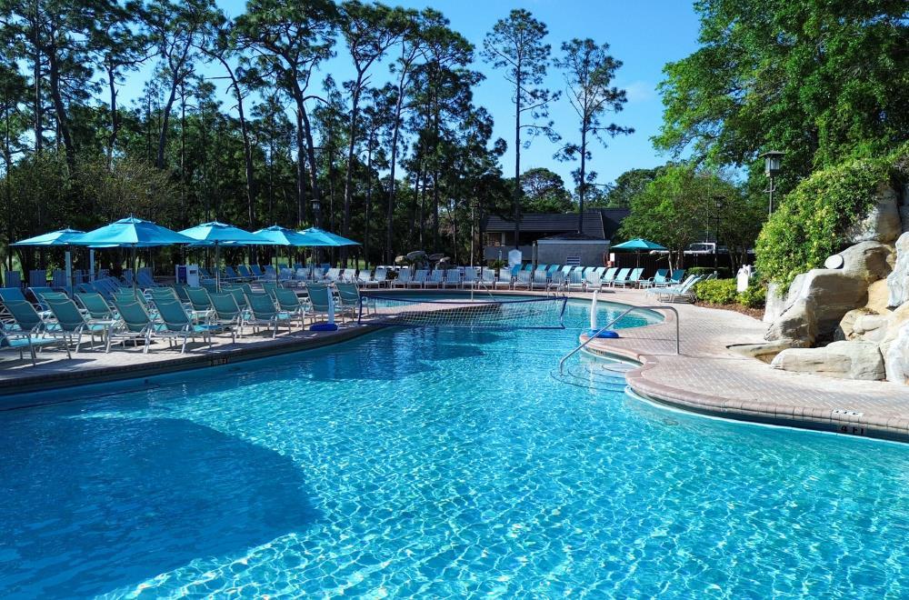 Pool view | Innisbrook Resort