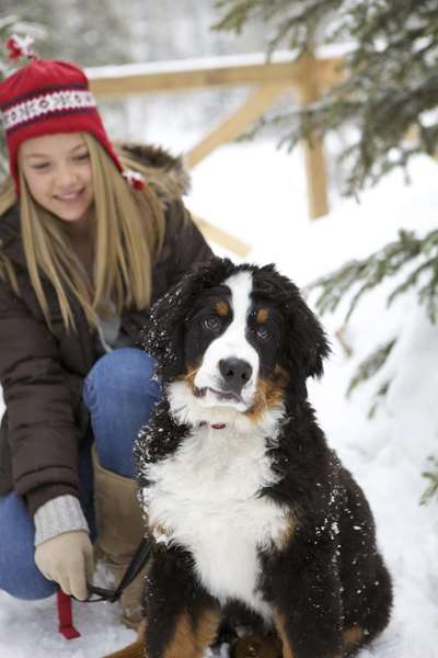  - Montage Deer Valley Hotel Park City