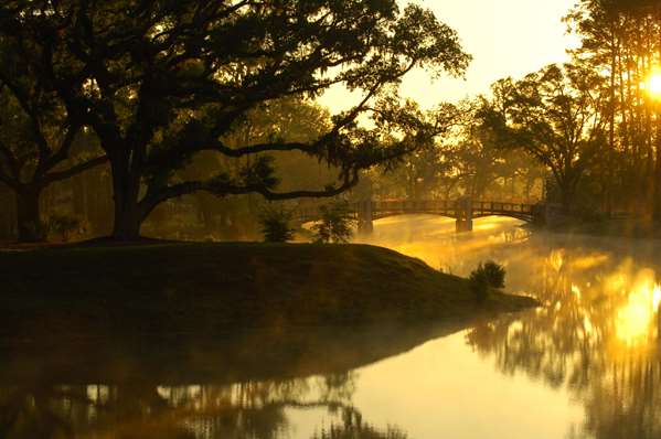 Exterior view - Montage Palmetto Bluff Resort Bluffton