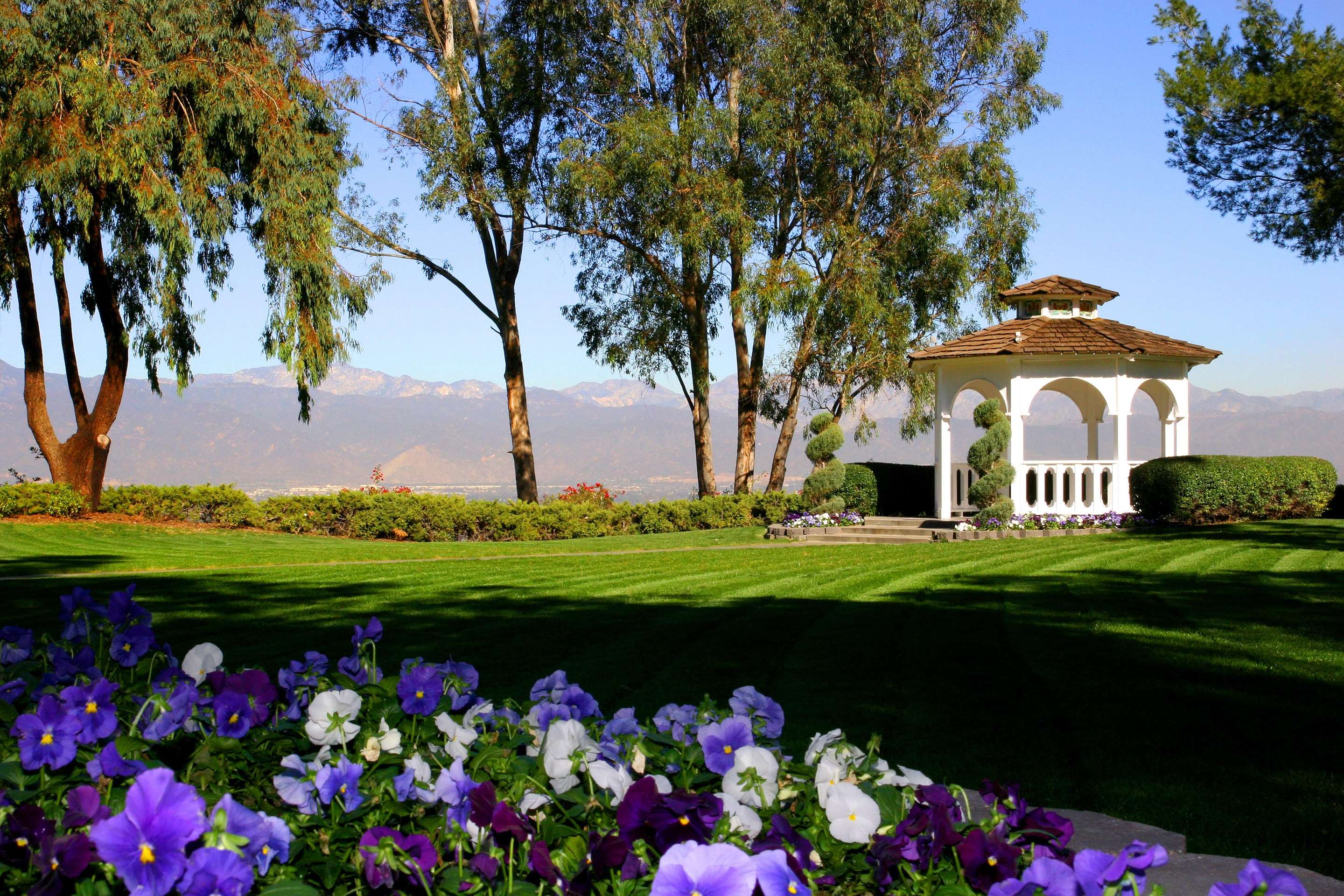 Golf course