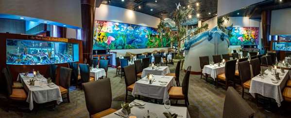 Restaurant - Rosen Centre Hotel Orlando - I-4, Exit 72