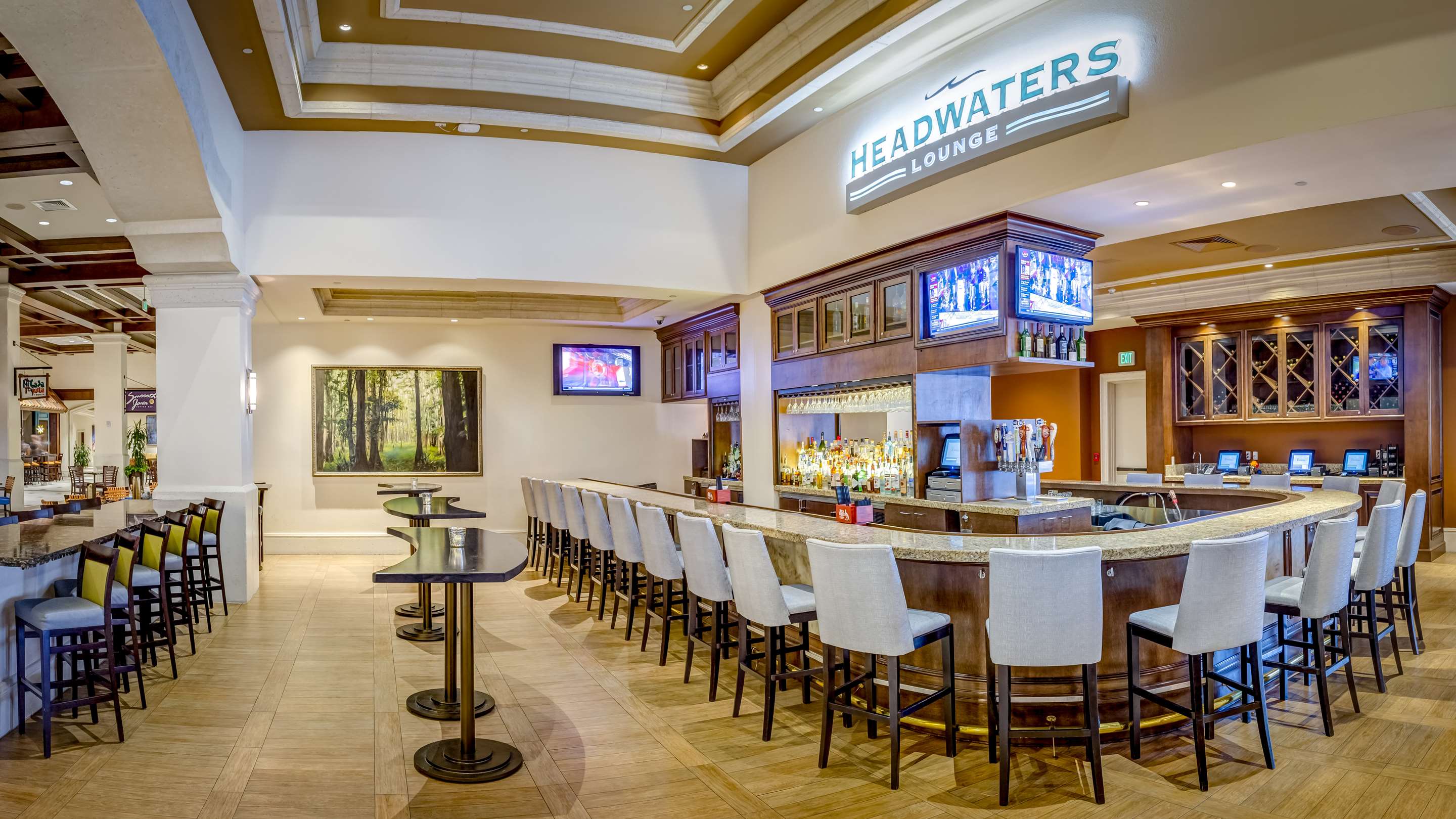 Headwaters Lounge | Rosen Shingle Creek