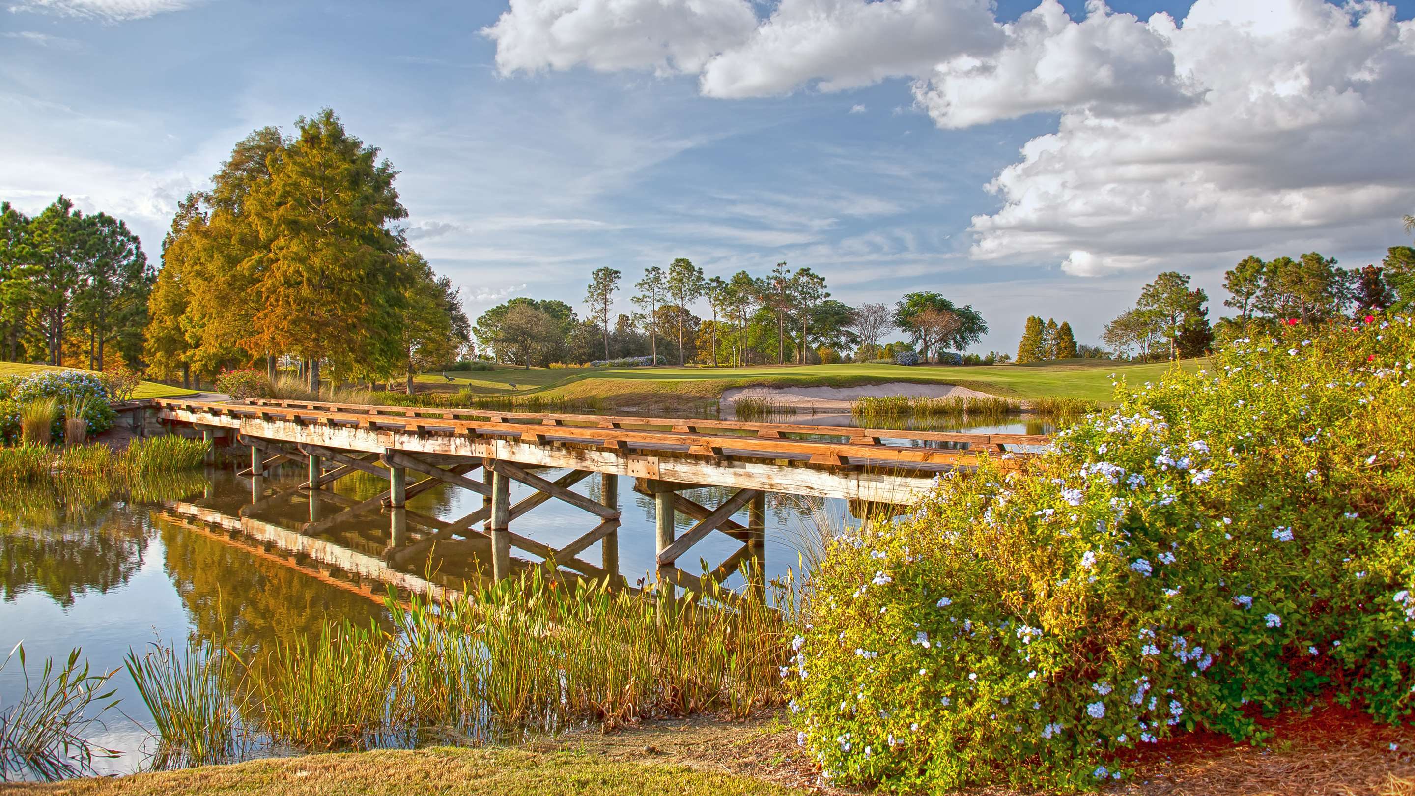 Shingle Creek Golf Club | Rosen Shingle Creek