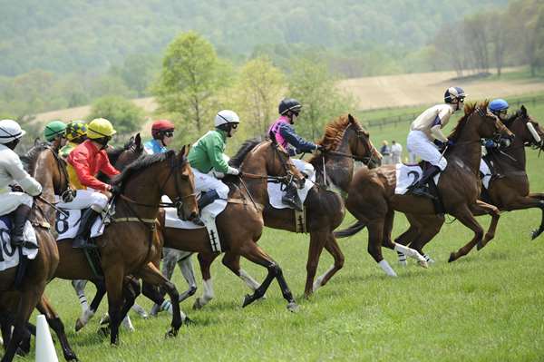 Exterior view - Salamander Resort & Spa Middleburg