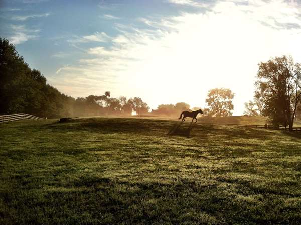 Exterior view - Salamander Resort & Spa Middleburg