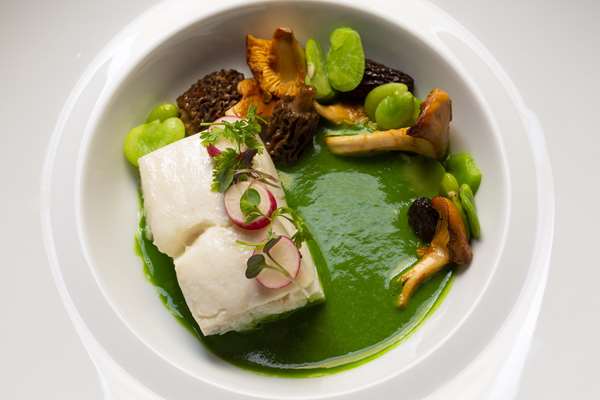 Restaurant - Sophy Hotel Hyde Park Chicago