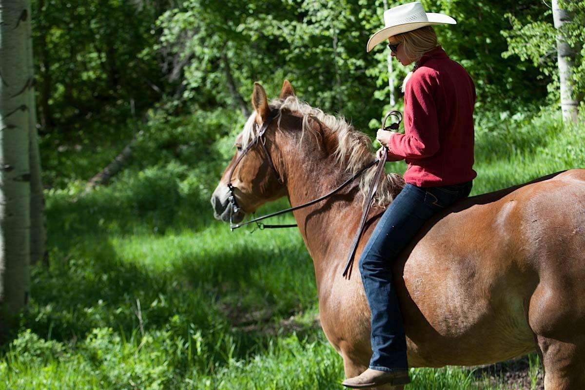 Miscellaneous | Sundance Mountain Resort