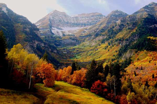 SUNDANCE RESORT - Photo 30