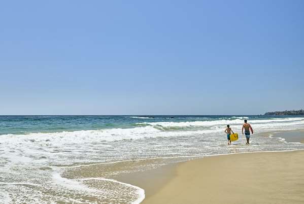 Bar - Surf & Sand Resort Laguna Beach