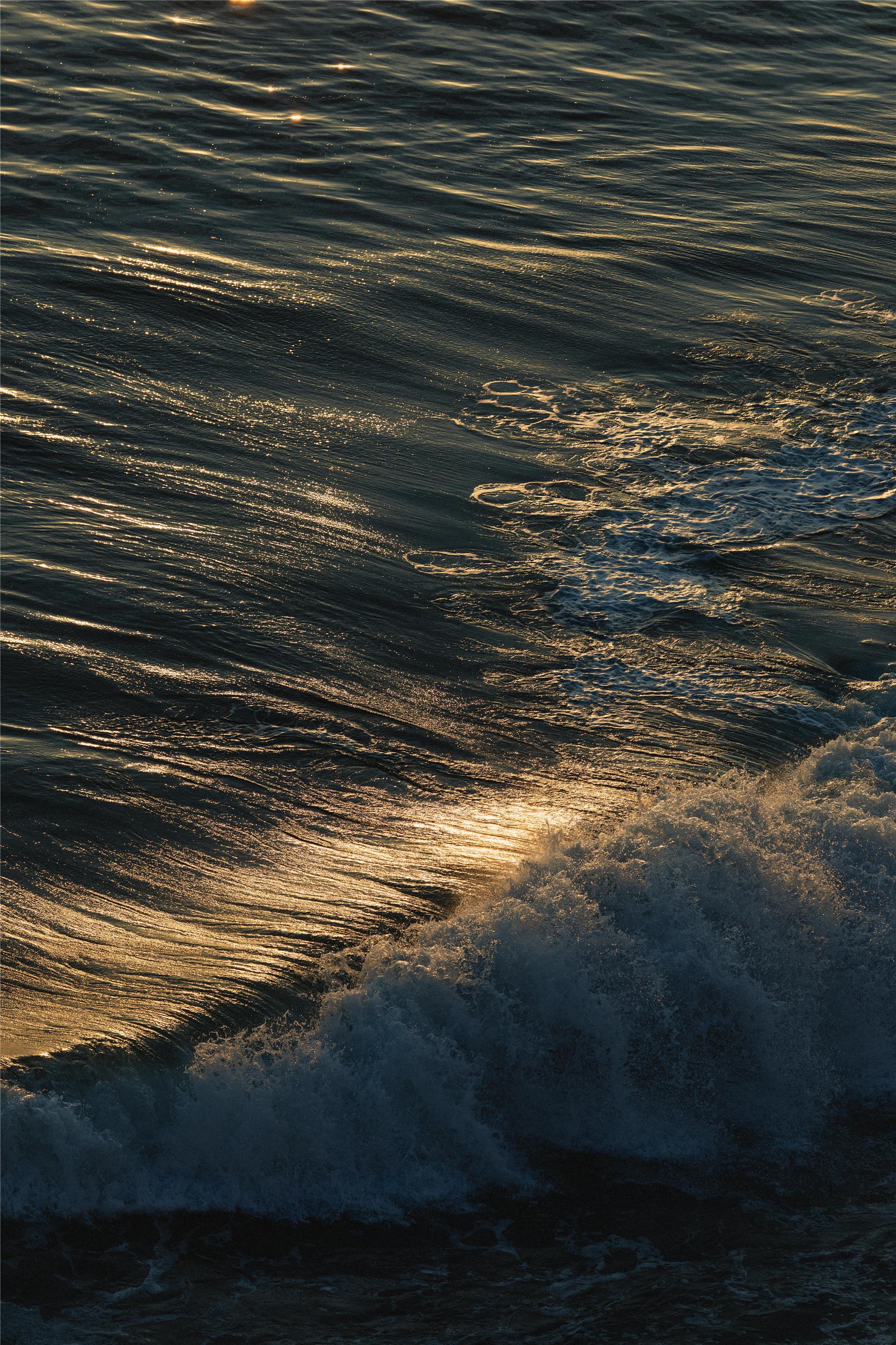 Beach | Surf & Sand Laguna Beach