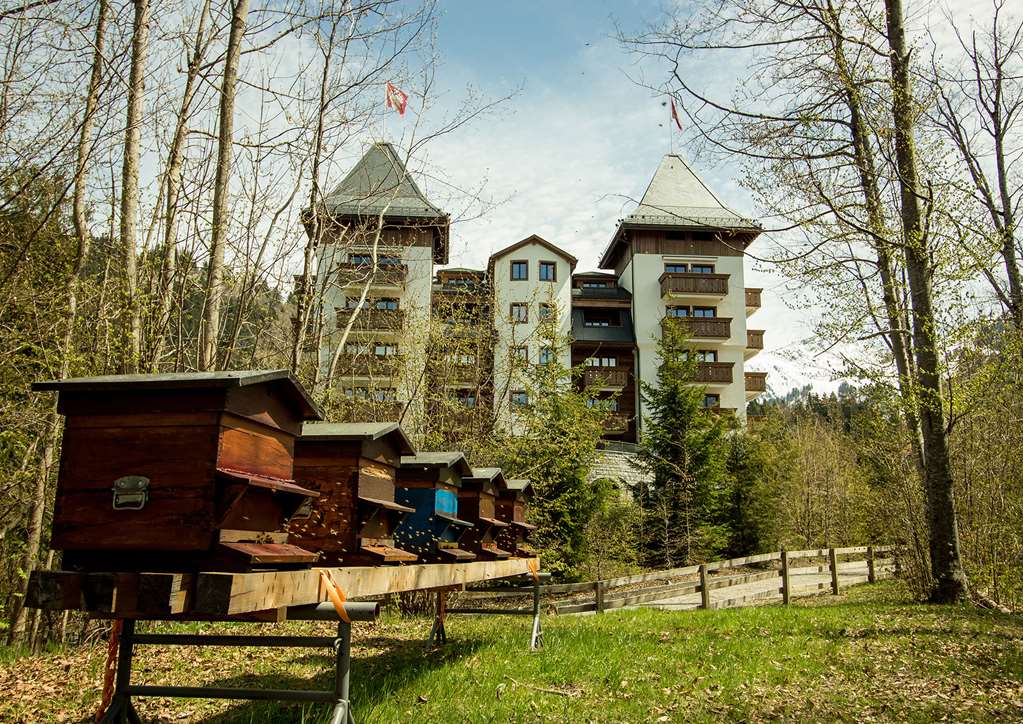Guest photo