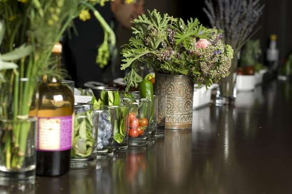 Bar - Hollywood Roosevelt Hotel Hollywood