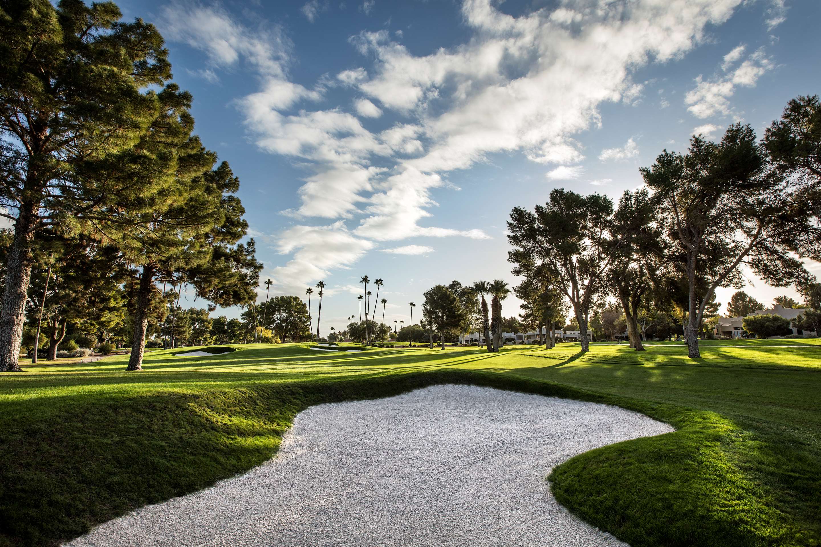 Gold Course