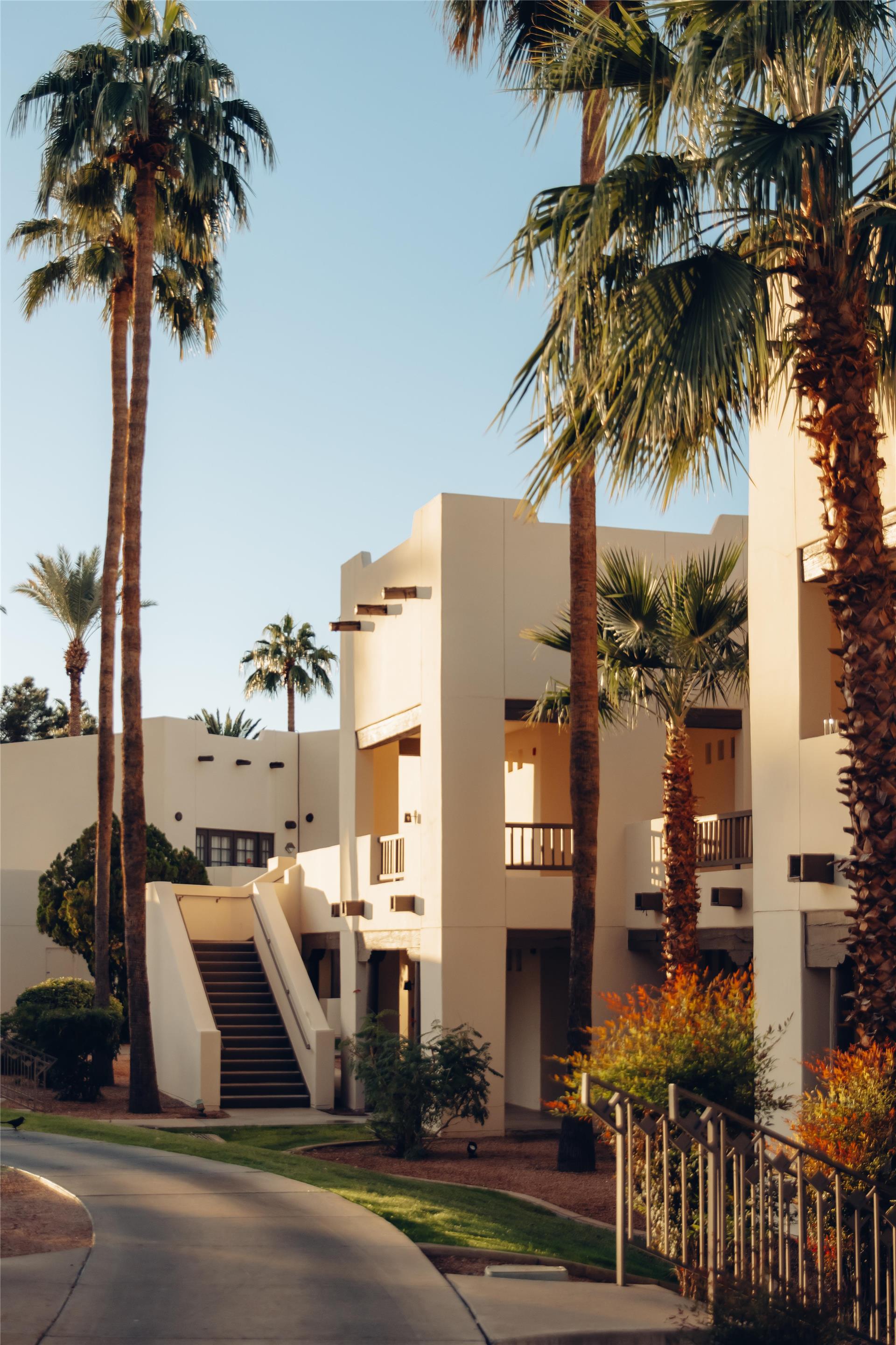 Casitas and palm trees at sunset | The Wigwam
