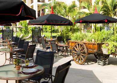 Dining,Dining Area,Restaurant,On-Site