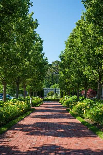 Exterior view - Wequassett Resort & Golf Club Harwich