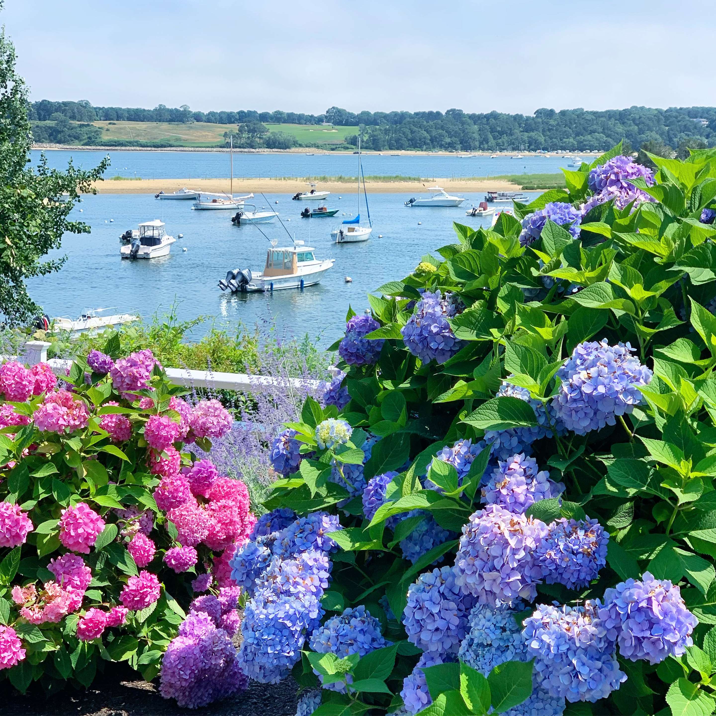hydrahero | Wequassett Resort and Golf Club