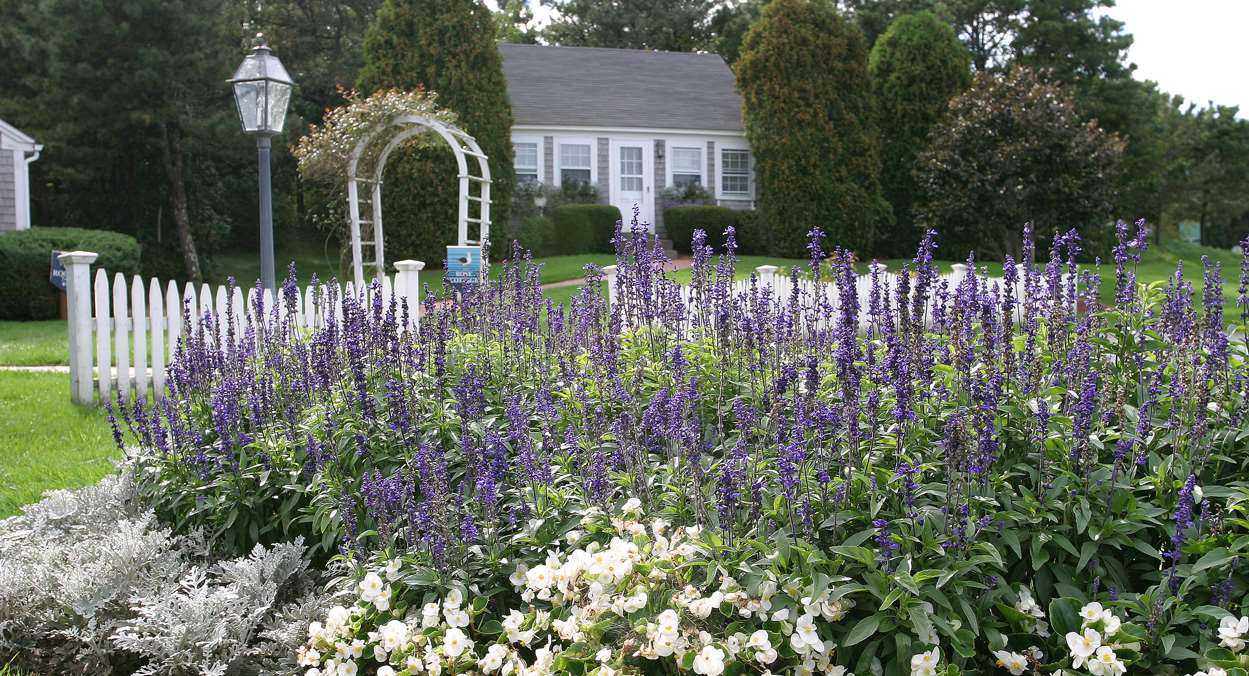Tulip Cottage Exterior | Wequassett Resort and Golf Club