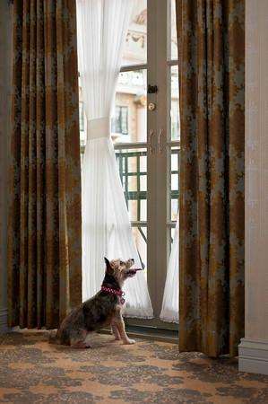  - West Baden Springs Hotel