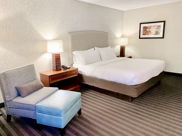  - Best Western Springfield Hotel