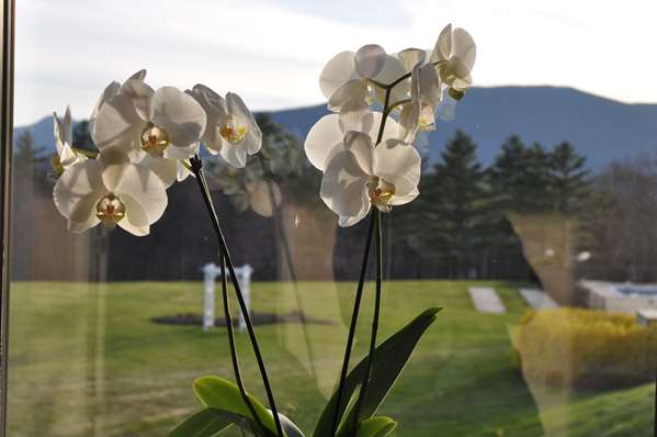 Exterior view - Fox Ridge Resort North Conway