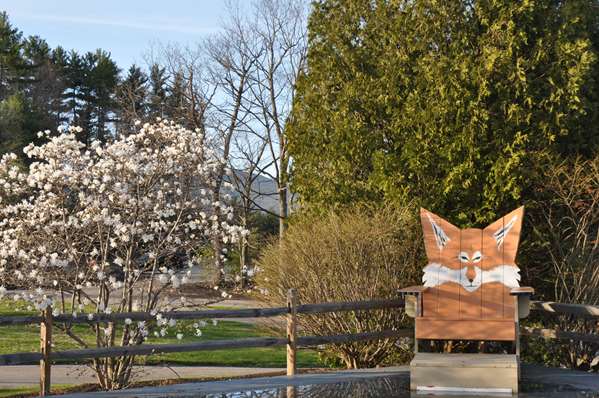 Exterior view - Fox Ridge Resort North Conway